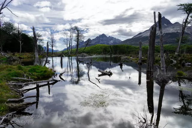 Ushuaia - Argentina (Mar 2024) | 