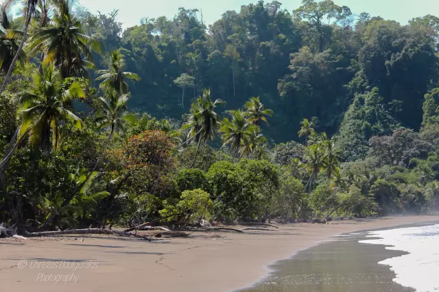 Drake Bay - Costa Rica (Jan 2017) | 